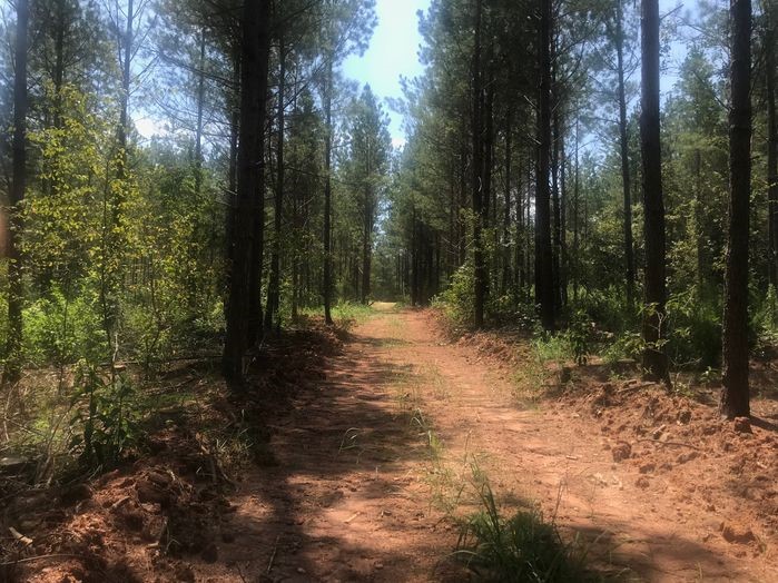 36.68+/- DEEDED ACRES IN ELBERT CO GA