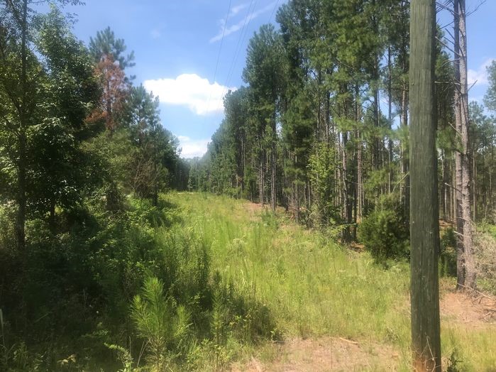 39.91+/- DEEDED ACRES IN ELBERT CO GA
