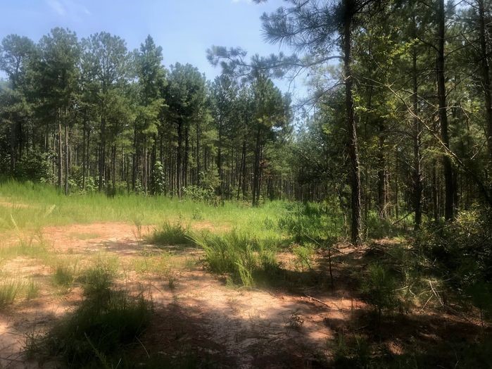 21.60 DEEDED ACRES IN ELBERT CO. GA