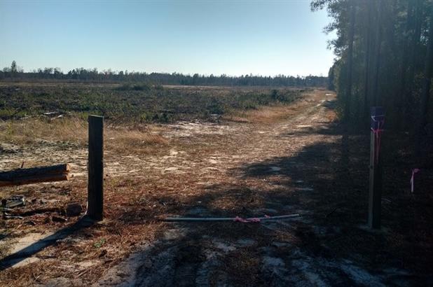 70.4+/- ACRES IN SAMPSON CO, NC