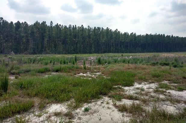 47.1 +/- ACRES IN SAMPSON CO NC