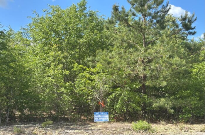 Cumberland Co NC - 10 Acres - Lot N